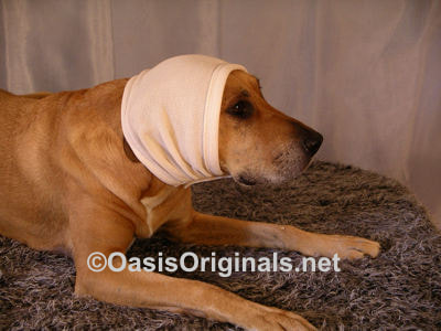 dog snood side view custom made products by Oasis Originals