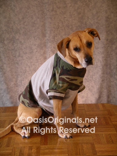 Dog clothes custom made
