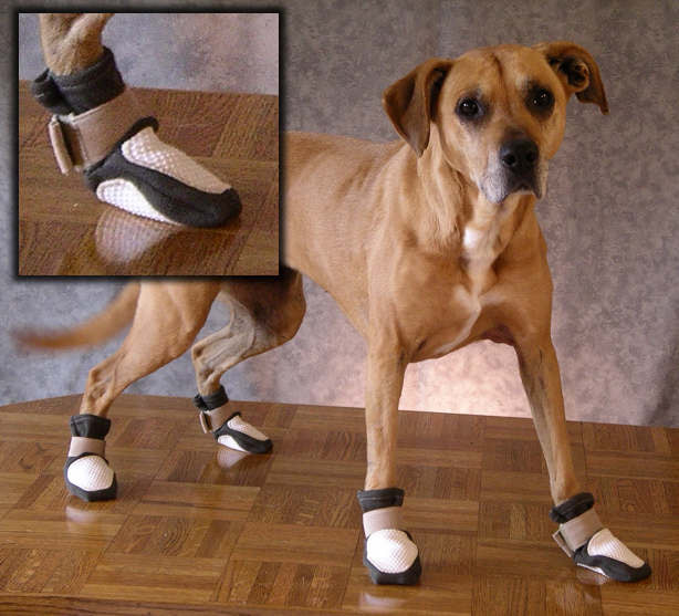 Dog wearing tacky paws pet slippers custom made at Oasis Originals