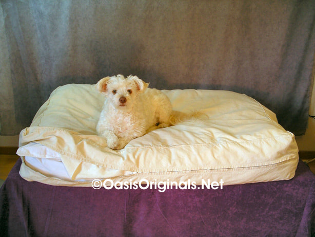Dog on large dog bed.